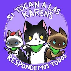 three cartoon cats wearing scarves and scarfs with the caption, resondemos toos