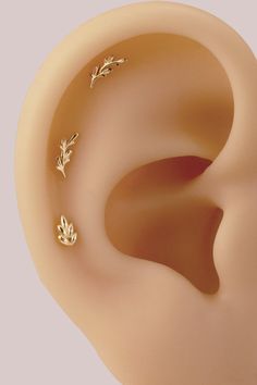 an ear is shown with three small gold leaves on the top and two smaller ones on the bottom