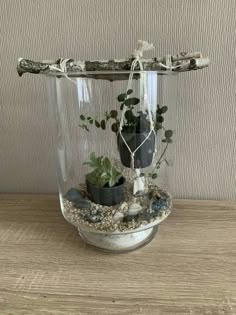 a glass vase filled with plants and rocks on top of a wooden table next to a wall