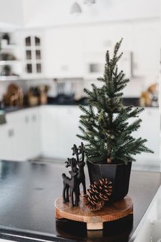 Love these beautiful modern Christmas decorating ideas! Beautiful, classic decor for the kitchen, dining room, and coffee bar. Natal Natural, Koti Diy, Minimalist Christmas Decor, Christmas Decorating Ideas, Simple Christmas Decor, Christmas Room Decor, White Christmas Decor, Natural Christmas, Christmas Inspo