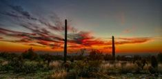 the sun is setting behind some tall cactus trees