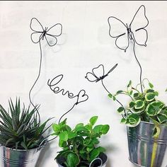 three potted plants are sitting next to each other with the word love spelled on them