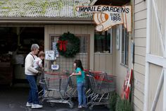 Santa Rosa’s Imwalle Gardens a ‘farm in the middle of the city’ Fresno State, Horse And Buggy, North Bay, Marin County, Farm Stand, In Season Produce, Sonoma County, Bedding Plants, Garden Supplies