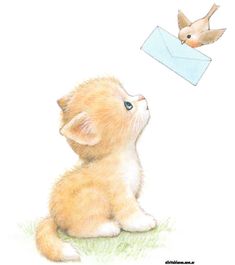 a drawing of a kitten looking at an envelope with a bird flying over it