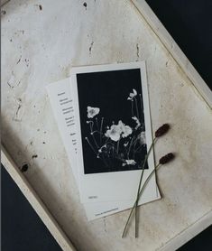 some flowers are laying on top of an empty tray