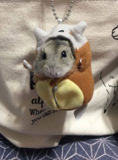 a hamster wearing a sweater and holding a banana