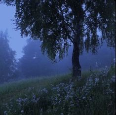 a tree in the middle of a field with flowers on it and foggy sky