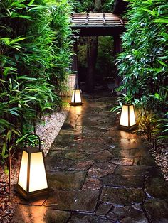 some lights that are sitting in the dirt near plants and trees on either side of a walkway