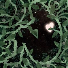 a heart shaped light in the middle of green leaves and space with stars behind it