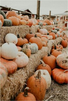 many pumpkins are stacked on hay bales