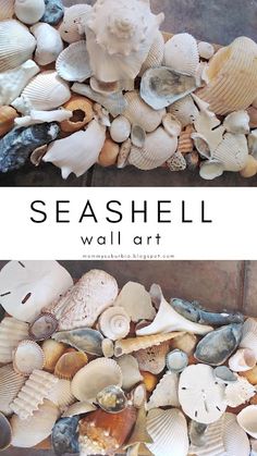 two pictures side by side with the words seashell wall art