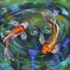 two orange and white koi fish swimming in a pond with ripples on the water