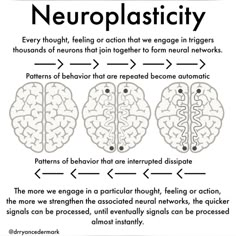 the neuroplasity diagram with three areas labeled in black and white, including two