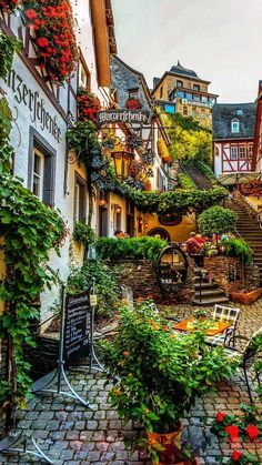 a cobblestone street with lots of flowers and plants growing on the side of it