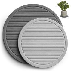 two round gray plates sitting next to a potted plant on a white surface with grey stripes