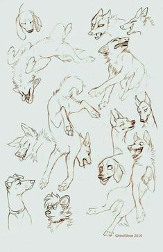 a bunch of dogs that are drawn in pencil