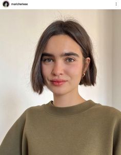 Thick Hair Bob Round Face, Short Rounded Bob Hairstyles, Straight Bob Fine Hair, Straight Hairstyles Round Face, Hairstyle For Pixie Hair, Short Bob Hairstyles Thick Hair, Chin Length Bob Straight Hair, Chin Length Haircuts For Round Faces, Chin Length Hair Straight