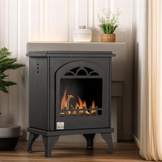 a small fireplace in a living room next to a potted plant