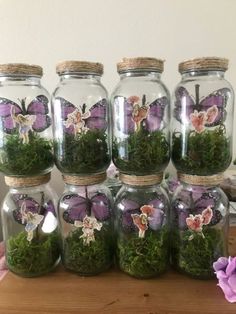 there are many glass jars with flowers in them and moss inside one is filled with butterflies