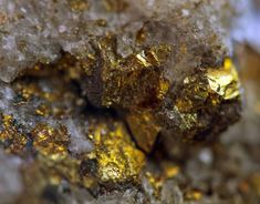 6 Easiest Ways to Tell If Gold is Real Alchemy Elements, Gold Specimens, Raw Gemstones Rocks, Old Pennies Worth Money, Raw Gold, Gem Hunt, Symbol Of Wealth, Places Of Worship, Geode Rocks