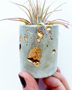 a hand holding up a small pot with gold foil on the inside and air plants in it