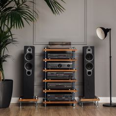 an array of audio equipment sitting on top of a hard wood floor next to a potted plant