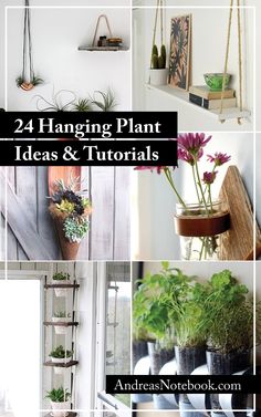 some plants are hanging from the wall and in pots on shelves with text that reads 24 hanging plant ideas & tutors