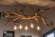 a chandelier made out of branches with light bulbs hanging from the ceiling above it