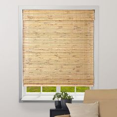 a living room scene with focus on the window blinds and the bamboo shades in the window