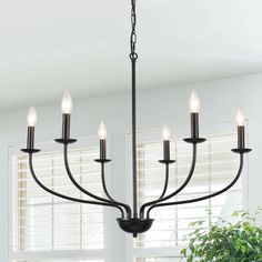 a black chandelier with six lights hanging from it's center and two windows in the background