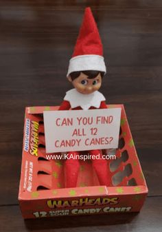 an elf with a sign that says can you find all 12 candy canes?