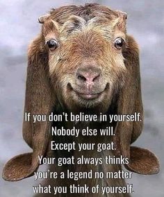 a goat with the words if you don't believe in yourself nobody else will