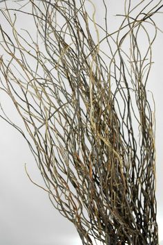 a vase filled with lots of branches on top of a table