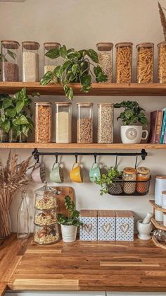 the shelves are filled with various types of plants and books on top of each shelf