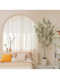 a living room with a bed, book shelf and potted plant