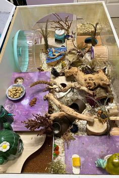 an assortment of plants and other items in a glass container on a table with purple cloth