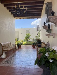 an outdoor patio with chairs and potted plants