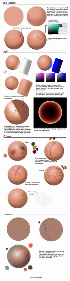 an image of different types of skin and their functions in the process of painting it