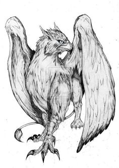 a pencil drawing of an eagle with wings spread out and claws extended to the side