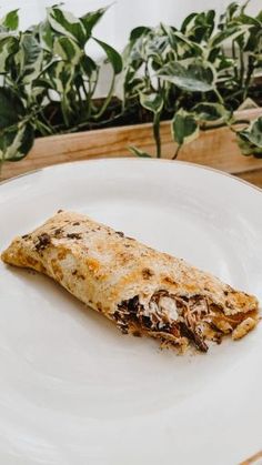 a burrito on a white plate next to some potted plants