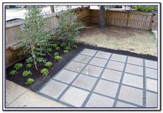 a backyard area with a tree and some plants