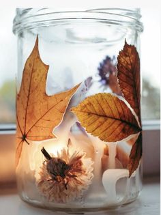 a glass jar filled with leaves on top of a table next to a window sill