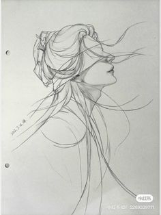 a pencil drawing of a woman's head with long hair and flowing streamers