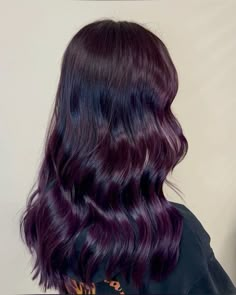 Subtle Purple Hair Highlights, Purple Hair Layers, Dark Hair Purple Tint, Purple Hair Gloss, Dark Violet Hair Color Deep Purple, Dark Purple Hair With Black, Dark Purple Black Hair, Oxblood Hair, Black Purple Hair Color