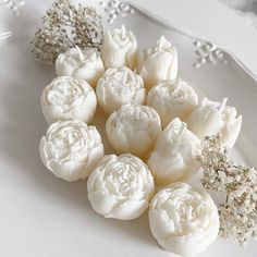 some white flowers are sitting on a plate