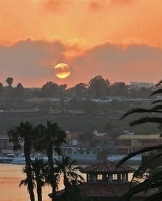 the sun is setting over some palm trees in front of a body of water and buildings