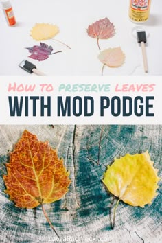 how to preserve leaves with mod podge