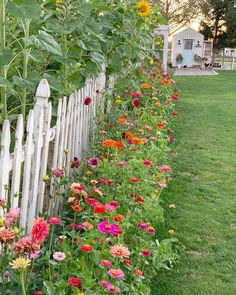 a row of colorful flowers next to a white picket fence