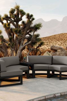 a couch and chair sitting next to a tree in front of a desert landscape with mountains