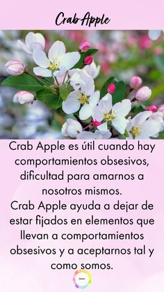 Crab Apple nos ayuda a liberarnos de pensamientos o compartamientos obsesivos como limpieza, tambien nos ayuda a aceptarnos y amarnos a nosotros mismos. Crab Apple, Crab